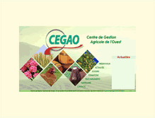 Tablet Screenshot of cegao.com